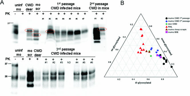 FIG. 7.