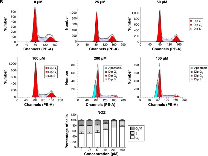 20(s)-ginsenoside Rg3 Promotes Senescence And Apoptosis In Gallbladder 