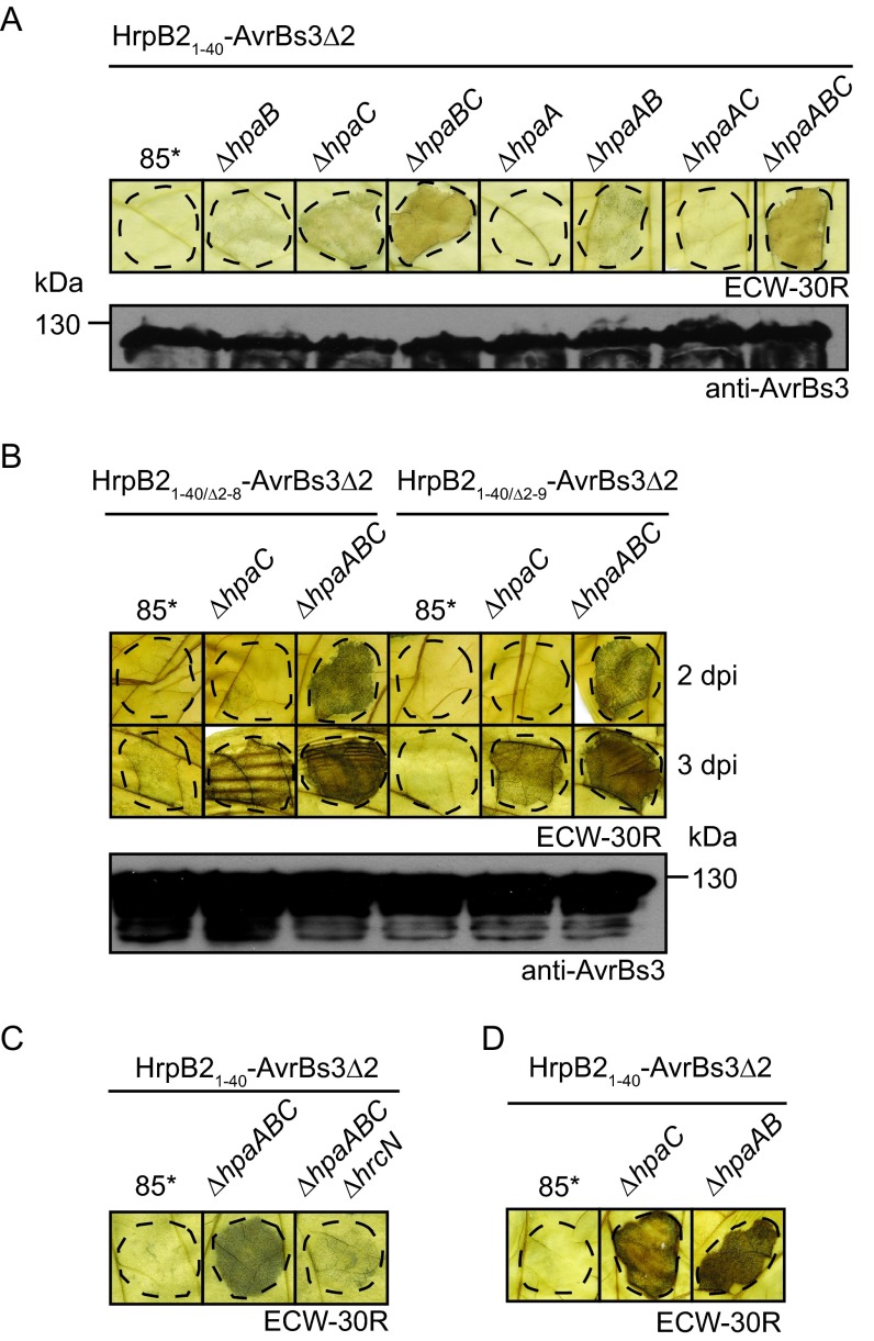 FIG 6