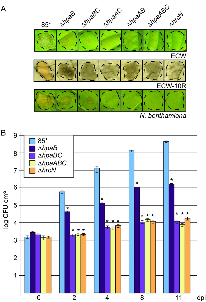 FIG 5