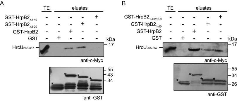 FIG 2