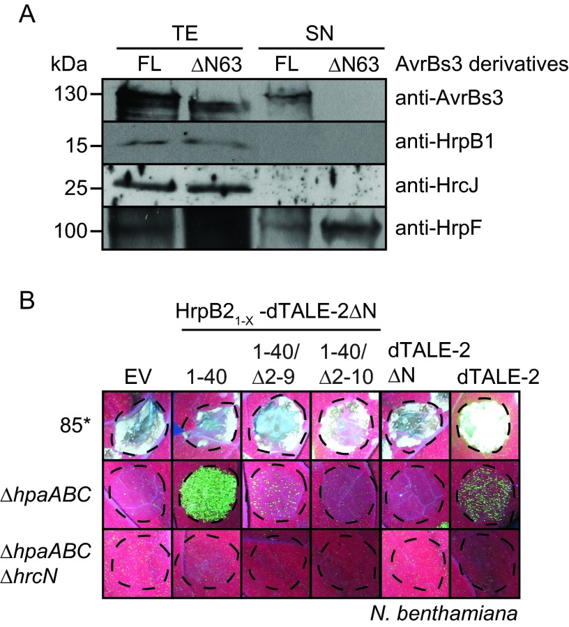 FIG 8