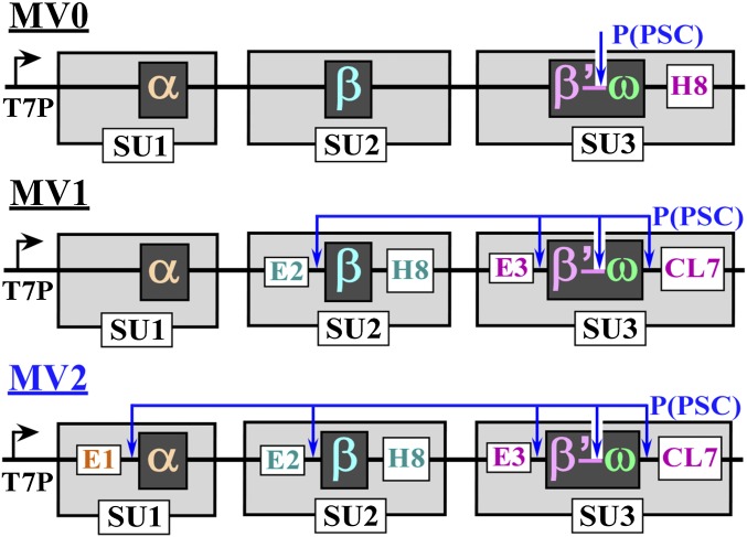 Fig. 3.