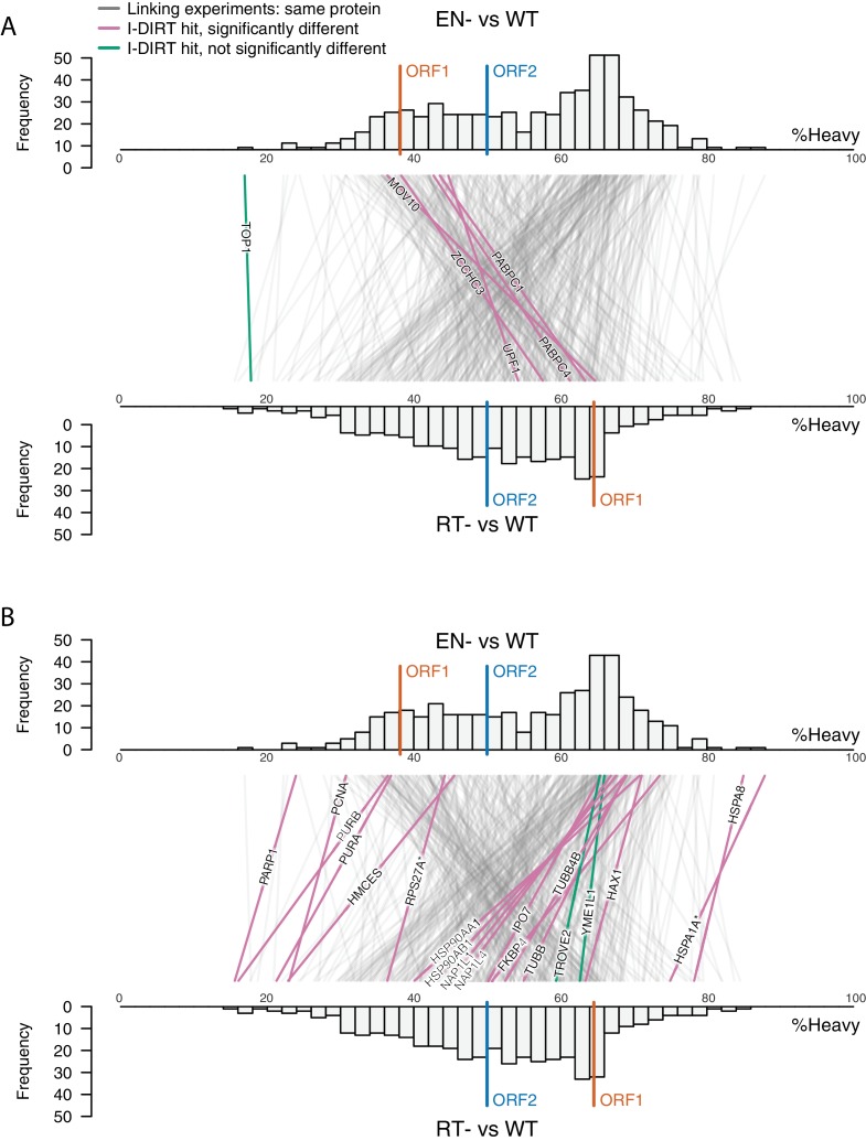 Figure 4—figure supplement 1.