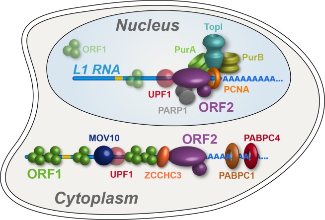 Figure 7.