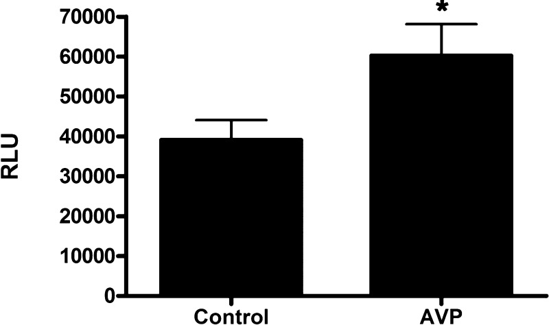 Fig. 11.