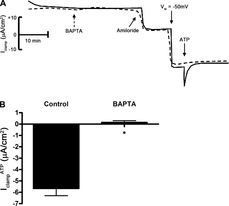 Fig. 8.