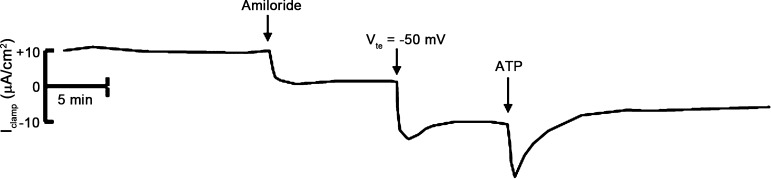 Fig. 5.