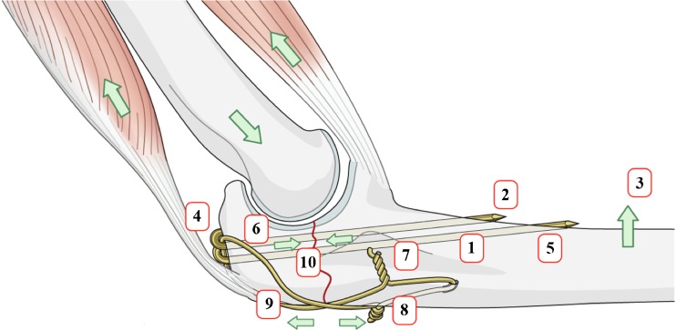 Fig. 2