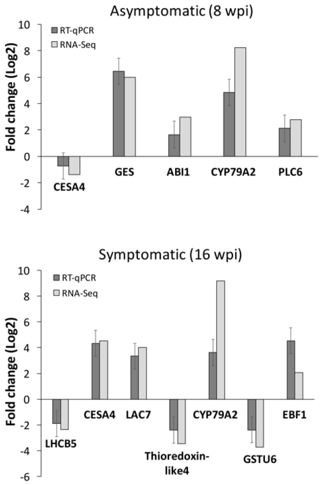 Figure 5