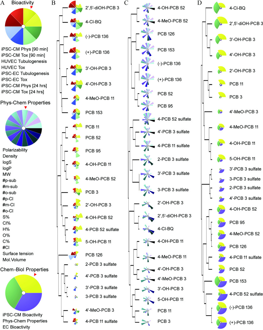 Figure 4A is a set of three pie charts, representing data integration analysis for in vitro toxicity data, physicochemical properties, and combination of the two. First pie chart is titled bioactivity displays i P S C-C M Phys [90 minutes], i P S C-C M Tox [90 minutes], H U V E C Tubulogenesis, H U V E C Tox, i P S C-E C Tubulogenesis, i P S C-E C Tox, i P S C-C M Phys [24 hours], and i P S C-C M Tox [24 hours]. Second pie chart titled Phys-Chem Properties displays Polarizability, Density, logS, logP, M W, number of p-sub, number of m-sub, number of o-sub, number of p-C I, number of m- C I, number of o-C I, S percent, C I percent, H percent, O percent, C percent, number of C I, surface tension, and Mol. Volume. Third pie chart titled Chem-Boil properties displays i P S C-C M bioactivity, Phys-Chem properties, and E C bioactivity. Figure 4B displays clustering analysis of polychlorinated biphenyls using Toxicological Prioritization Index (ToxPi) and in vitro data, including 2 prime,5 prime-di O H-P C B 3, 4-C I-B Q, (minus)-P C B 136, (plus)-P C B 136, 3 prime-O H-P C B 3, 4 prime-O H-P C B 3, 4-M e O-P C B 11, P C B 153, P C B 11, P C B 52, P C B 95, 4-O H-P C B 11, 4-M e O-P C B 52, 4-P C B 52 sulfate, 5-O H-P C B 11, P C B 126, 2-P C B 3 sulfate, 4 prime-P C B 3 sulfate, 3 prime-P C B 3 sulfate, 3-P C B 3 sulfate, 4 prime M e O-P C B 3, and 4-P C B 11 sulfate. Figure 4C displays calculated physicochemical descriptors were used for the generation of ToxPi and clustering including 4-O H-P C B 52, 4-M e O-P C B 52, P C B 126, P C B 153, (minus)-P C B 136, (plus)-P C B 136, P C B 52, P C B 95, 4-P C B 52 sulfate, 4’P C B 3 sulfate, 4-P C B 11 sulfate, 2-P C B 3 sulfate, 3 prime-P C B 3 sulfate, 3-P C B 3 sulfate, 2 prime-O H-P C B 3, 2 prime,5 prime-di O H-P C B 3, 4-C I-B Q, 4-O H-P C B 11, 4-M e O-P C B 11, 4 prime-O H-P C B 3, 4 prime-M e O-P C B 3, 3 prime-O H-P C B 3, 5-O H-P C B 11, P C B 11 and P C B 3. Figure 4D is Clustering analysis based on a combination of in vitro and physicochemical data in ToxPi images, including 4-C L-B Q, 2 prime,5 prime-d i O H-P C B 3, 3 prime-O H-P C B 3, 4 prime-O H-P C B 3, 2 prime-O H-P C B 3, P C B 11, P C B 3, 4 prime-M e O-P C B 3, 4-M e O-P C B 11, 4-O H-P C B 11, 5-O H-P C B 11, 3 prime P C B 3 sulfate, 3-P C B 3 sulfate, 2-P C B 3 sulfate, 4 prime-P C B 3 sulfate, 4-O H-P C B 52, P C B 95, 4-M e O-P C B 52, P C B 126, 4-P C B 11 sulfate, P C B 52, P C B 153, 4-P C B 52 sulfate, (minus)-P C B 136, and (plus)-P C B 136.