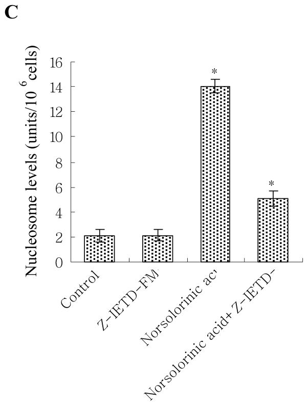 Fig. 8