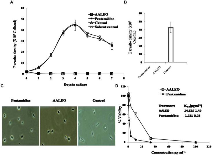 FIGURE 1