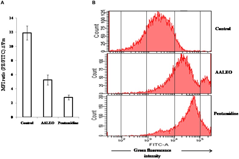 FIGURE 6