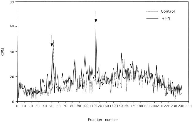 FIG. 6