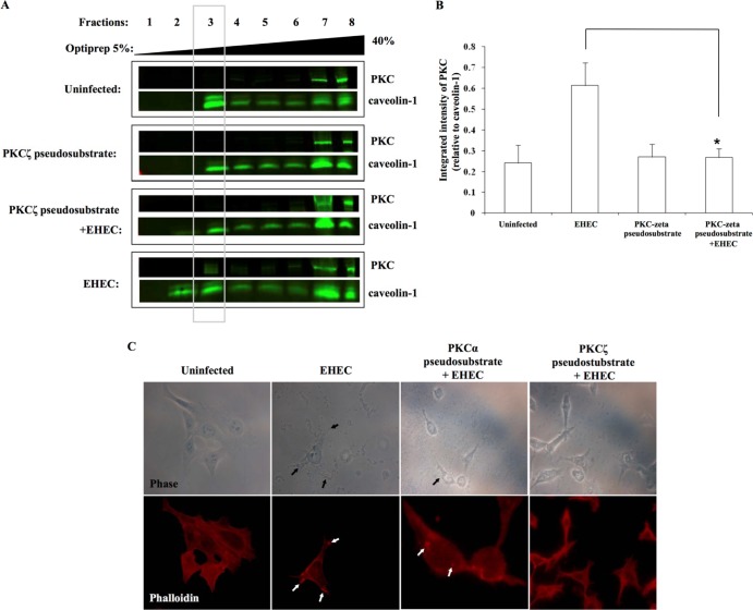 FIG 4