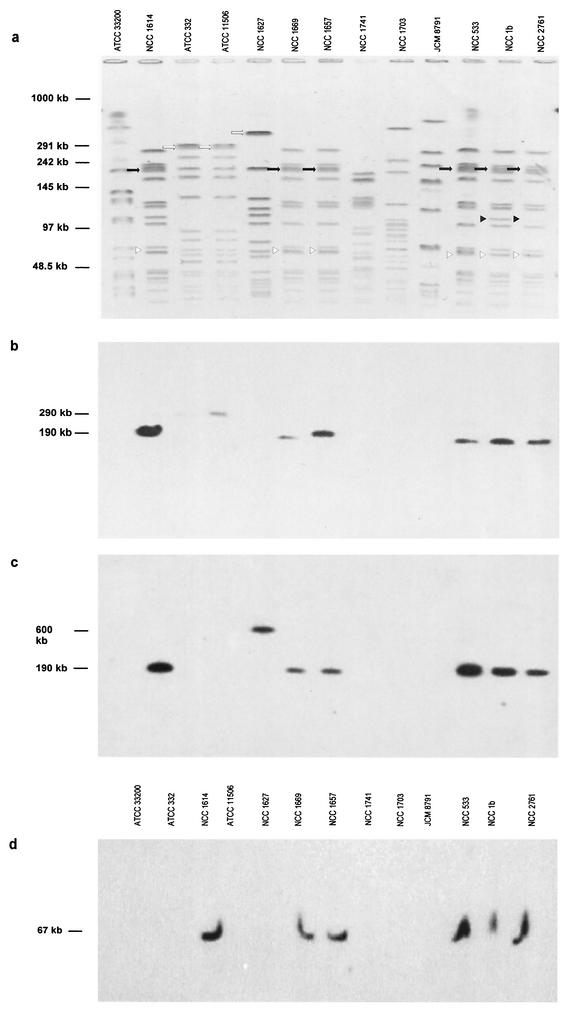 FIG.2.