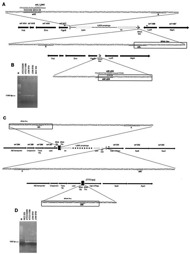 FIG.1.