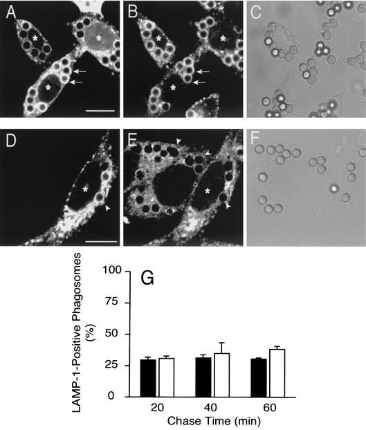 FIG. 9.