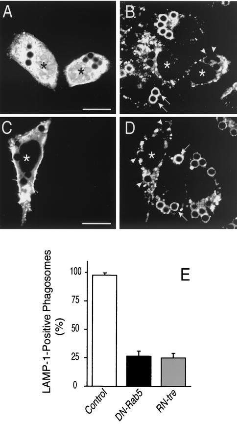 FIG. 5.