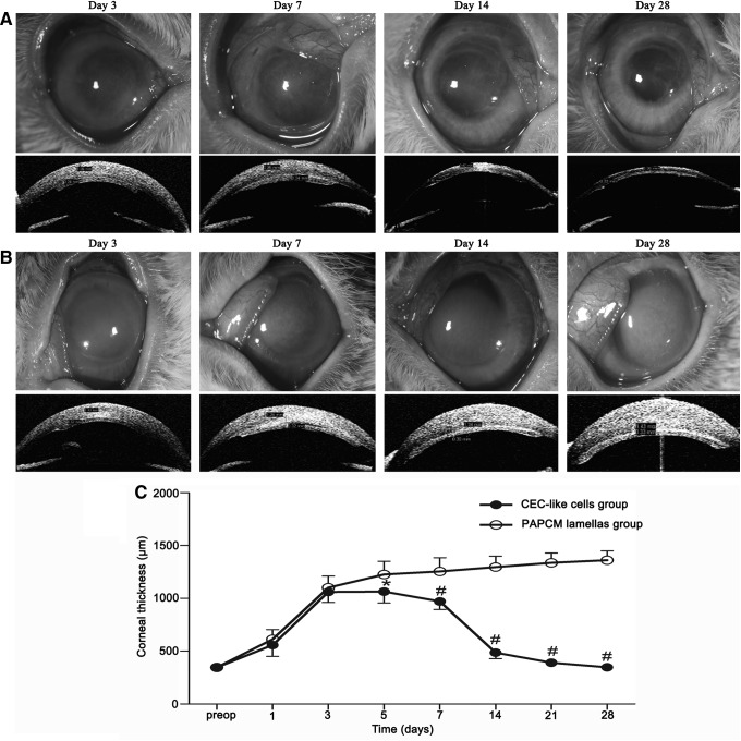 FIG. 6.