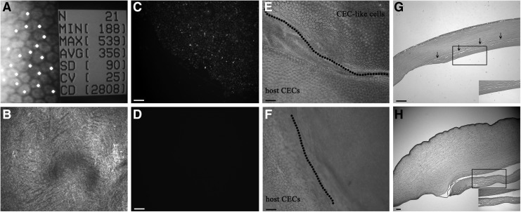 FIG. 7.