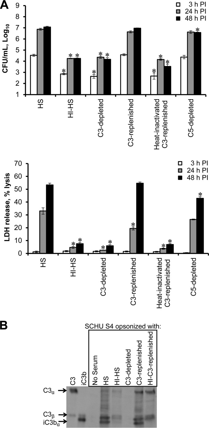 FIG 2