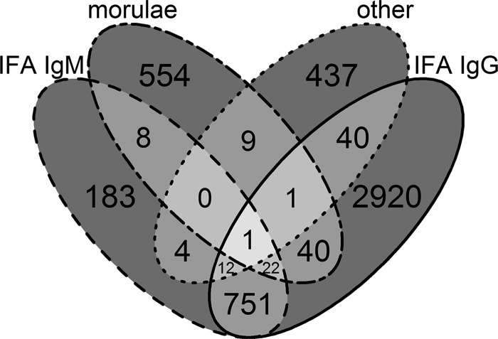 Figure 8.