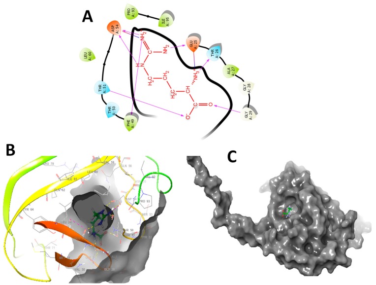 Figure 9