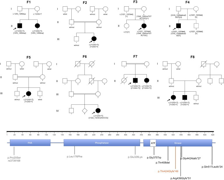 Figure 1