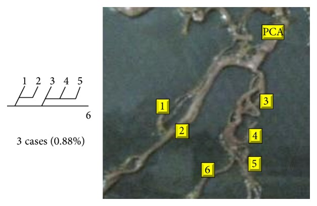 Figure 29