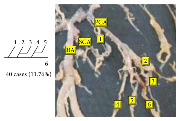 Figure 28