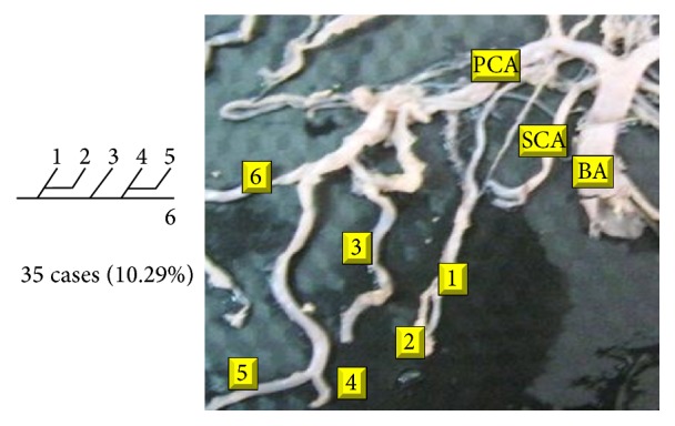 Figure 27