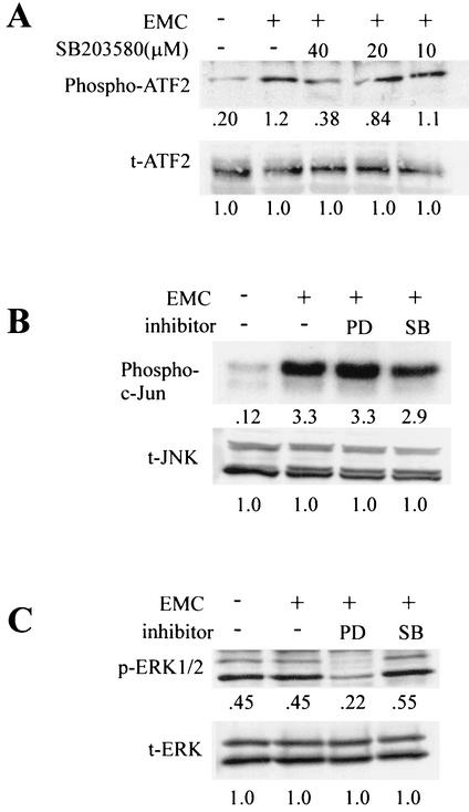 FIG. 3.