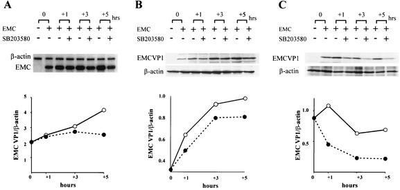 FIG. 5.