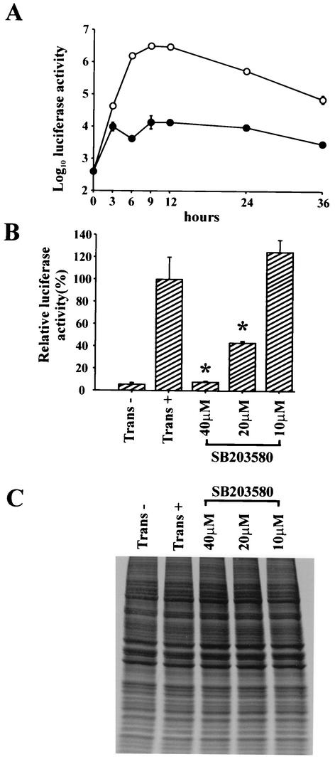 FIG. 6.