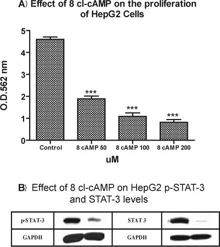 Figure 7A