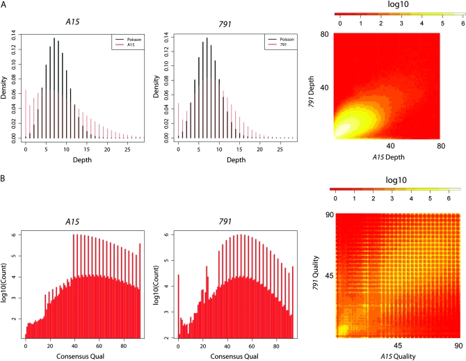 Figure 1.—