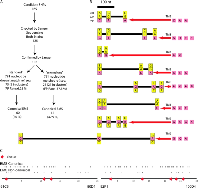 Figure 2.—