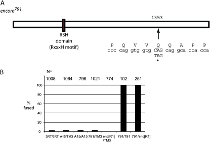 Figure 3.—