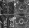 Fig. 5