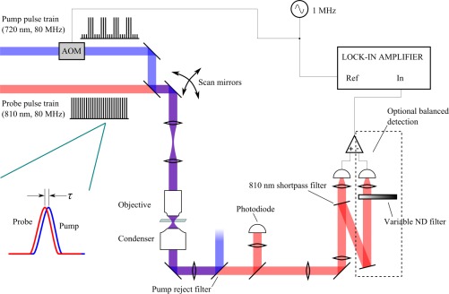 Fig. 1