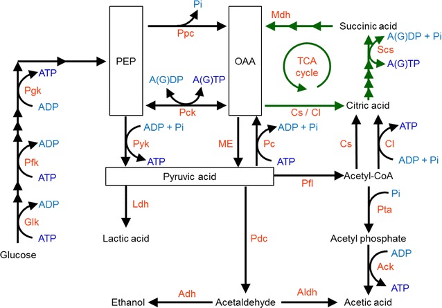 Fig. 3