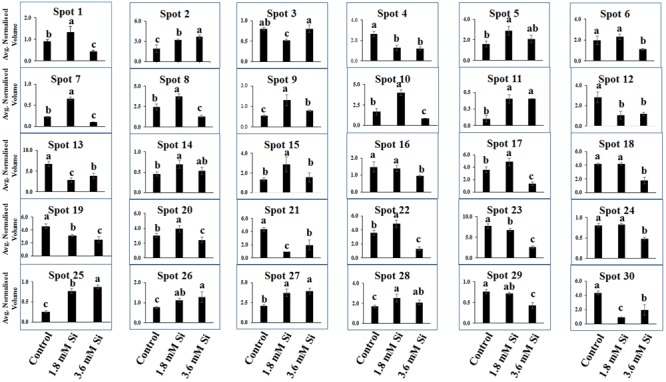 FIGURE 10