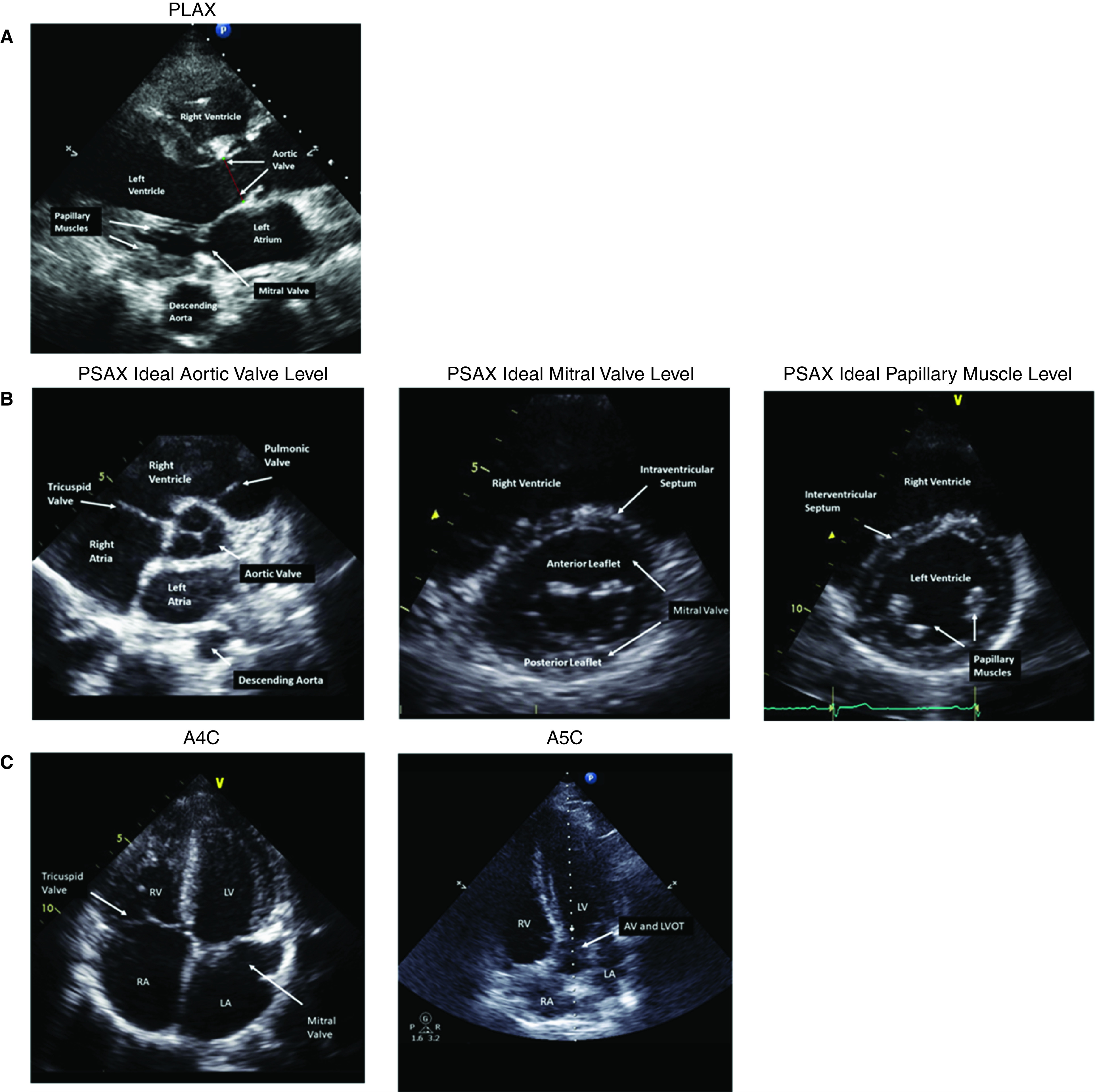 Figure 6.