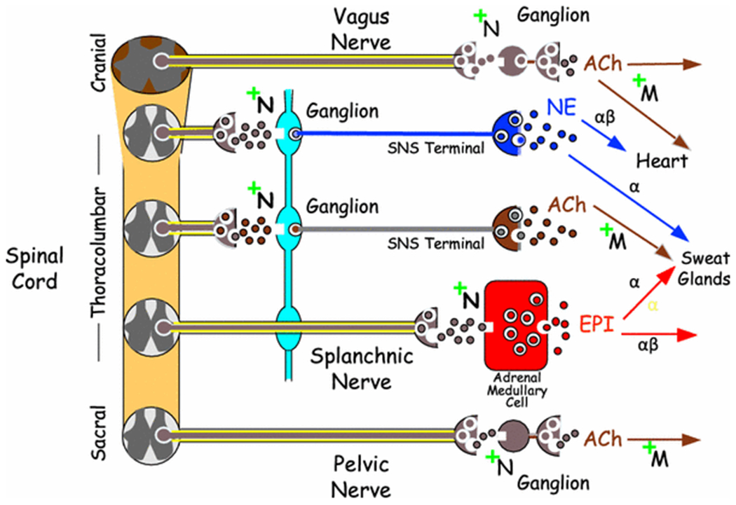 Figure 3: