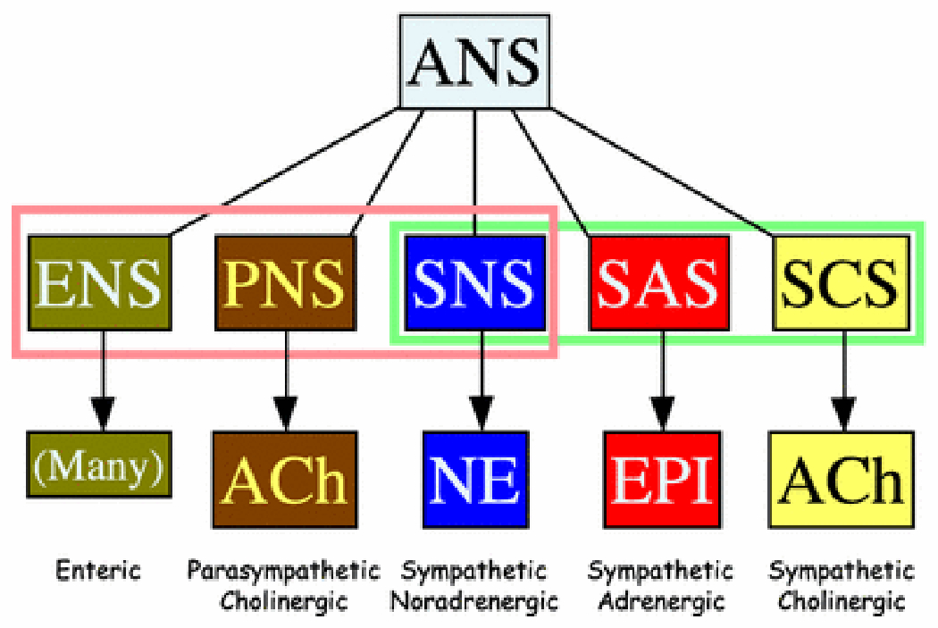 Figure 2: