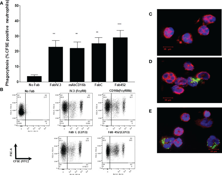 Figure 2