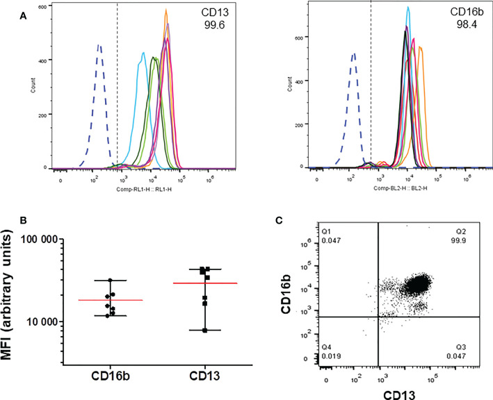 Figure 1