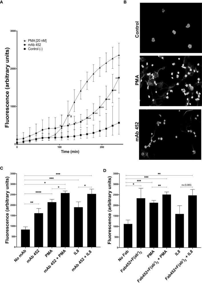 Figure 5